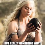 Dragon Egg | PRICELESS DRAGON EGG; BUT, REALLY WONDERING WHAT A DRAGON OMELET WOLD TASTE LIKE | image tagged in dragon egg | made w/ Imgflip meme maker