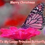 Pink Butterfly on Flower | Merry Christmas; To My Loopy Princess Butterfly | image tagged in pink butterfly on flower | made w/ Imgflip meme maker