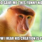 nosacz monkey | GOD GAVE ME THIS FUNNY NOSE; AND NOW I HEAR HIS CREATION IS PERFECT | image tagged in nosacz monkey | made w/ Imgflip meme maker