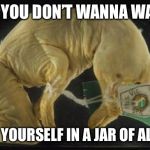 WHEN YOU DON’T WANNA WAKE UP; SHOVE YOURSELF IN A JAR OF ALCOHOL | image tagged in tired,australia | made w/ Imgflip meme maker