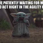 Slurping Baby Yoda | ME PATIENTLY WAITING FOR MY DOG TO ACT RIGHT IN THE AGILITY RING!!! | image tagged in slurping baby yoda | made w/ Imgflip meme maker
