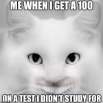 Teeth Cat | ME WHEN I GET A 100; ON A TEST I DIDN'T STUDY FOR | image tagged in teeth cat | made w/ Imgflip meme maker