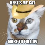 Cat-n-hat | HERE'S MY CAT; MORE TO FOLLOW | image tagged in cat-n-hat | made w/ Imgflip meme maker