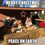 Merry Christmas | MERRY CHRISTMAS; PEACE ON EARTH | image tagged in merry christmas | made w/ Imgflip meme maker