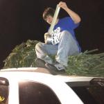 Redneck Christmas Tree