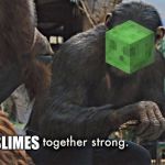 Apes Together Strong | SLIMES | image tagged in apes together strong | made w/ Imgflip meme maker