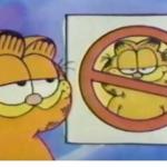 Garfield anti Garfield