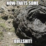 Bull Shit | NOW THATS SOME; BULLSHIT! | image tagged in bull shit | made w/ Imgflip meme maker