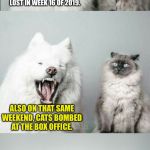 CATS bombed | PANTHERS, LIONS, JAGUARS, AND BENGALS ALL LOST IN WEEK 16 OF 2019. ALSO ON THAT SAME WEEKEND, CATS BOMBED AT THE BOX OFFICE. | image tagged in bad joke dog cat,memes,nfl football,movie,fail,money | made w/ Imgflip meme maker