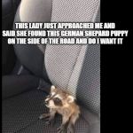 puppy | THIS LADY JUST APPROACHED ME AND SAID SHE FOUND THIS GERMAN SHEPARD PUPPY ON THE SIDE OF THE ROAD AND DO I WANT IT | image tagged in puppy | made w/ Imgflip meme maker
