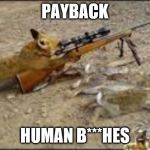 animals tevenge | PAYBACK; HUMAN B***HES | image tagged in animals tevenge | made w/ Imgflip meme maker