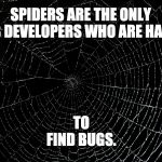 Spider Web | SPIDERS ARE THE ONLY WEB DEVELOPERS WHO ARE HAPPY; TO FIND BUGS. | image tagged in spider web | made w/ Imgflip meme maker