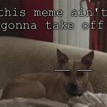 disappointed dog | this meme ain't
gonna take off; __ __ | image tagged in disappointed dog | made w/ Imgflip meme maker