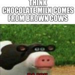 Chocolate milk comes from brown cows | 7% OF AMERICANS THINK CHOCOLATE MILK COMES FROM BROWN COWS; DA FOK | image tagged in cow,americans,human stupidity,funny memes,memes,imgflip | made w/ Imgflip meme maker