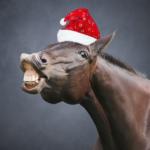 horse in a santa hat