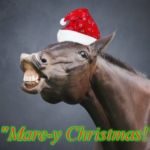 horse in a santa hat | "Mare-y Christmas!" | image tagged in horse in a santa hat | made w/ Imgflip meme maker