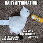 Be greatful | DAILY AFFIRMATION:; I AM NOT  A 
                              DISEMBOWELED,
STUFFED LAMA                     SURVIVING
ON CHEESE WOW! | image tagged in affirmation,inspiration | made w/ Imgflip meme maker