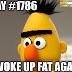 Woke Up Fat Again | DAY #1786; WOKE UP FAT AGAIN | image tagged in i don't care | made w/ Imgflip meme maker