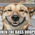 smiling dog | WHEN THE BASS DROPS | image tagged in smiling dog | made w/ Imgflip meme maker