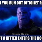 Im sorry little one | WHEN YOU RUN OUT OF TOILET PAPER, BUT A KITTEN ENTERS THE ROOM | image tagged in im sorry little one | made w/ Imgflip meme maker
