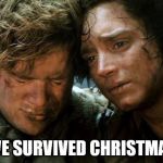 WE MADE IT | WE SURVIVED CHRISTMAS | image tagged in we made it | made w/ Imgflip meme maker