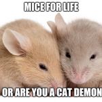 mice | MICE FOR LIFE; OR ARE YOU A CAT DEMON | image tagged in mice by a r | made w/ Imgflip meme maker
