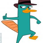 Perry thumbs up