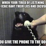 Icbc | WHEN YOUR TIRED OF LISTENING TO ICBC RANT THEIR LIES AND EXCUSES; YOU GIVE THE PHONE TO THE DOG | image tagged in doggo on phone,dog,iphone | made w/ Imgflip meme maker