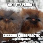 Yay! It's Friday!! | YAY!!  IT'S FRIDAY!!! SISSKIND CHIROPRACTIC; #getadjusted | image tagged in yay it's friday | made w/ Imgflip meme maker