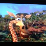 Melman