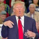 Donald Trump Mocking Disabled Reporter
