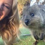 Kylie wombat meme