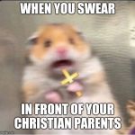 shook christian hamster | WHEN YOU SWEAR; IN FRONT OF YOUR CHRISTIAN PARENTS | image tagged in shook christian hamster | made w/ Imgflip meme maker