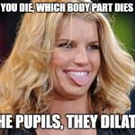 which body part dies first? | WHEN YOU DIE, WHICH BODY PART DIES LAST? THE PUPILS, THEY DILATE. | image tagged in ditzy blonde,pun,eyeballs die last | made w/ Imgflip meme maker