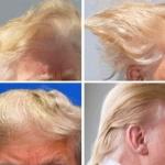 Donald Trump Hair