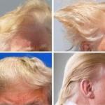 Donald Trump Hair President Obama Fan Club