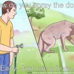 WikiHow Spraying the Dog | How do you spray the dog? Easy. Just use a hose. | image tagged in wikihow spraying the dog | made w/ Imgflip meme maker