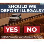 Deport illegals