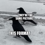 Identical Crows. They’re the same crow. | “THEY’RE THE SAME PICTURE.”; THIS FORMAT | image tagged in two crows,memes,funny,crows,arizona,same | made w/ Imgflip meme maker