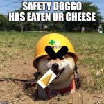 Safety doggo | SAFETY DOGGO HAS EATEN UR CHEESE | image tagged in safety doggo | made w/ Imgflip meme maker