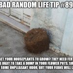 Charging Flower Pot | BAD RANDOM LIFE TIP #89:; CAN'T GET YOUR HOUSEPLANTS TO GROW? THEY NEED FERTILIZER. IT'S OKAY TO TAKE A DUMP IN YOUR FLOWER POTS. SURE, THERE WILL BE SOME UNPLEASANT ODOR, BUT YOUR FERNS WILL LOOK AMAZING! | image tagged in charging flower pot | made w/ Imgflip meme maker