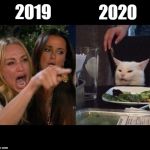Gatto schifomadò | 2019; 2020 | image tagged in gatto schifomad | made w/ Imgflip meme maker