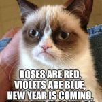 Grumpiness is 2020 | ROSES ARE RED, 
VIOLETS ARE BLUE, 
NEW YEAR IS COMING, 
WHOOPTY-FREAKIN-DO. | image tagged in grump cat,happy new year,new years,new year resolutions | made w/ Imgflip meme maker