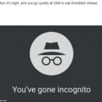 You've gone incognito | When it's night, and you go quietly at 3AM to eat shredded cheese | image tagged in you've gone incognito | made w/ Imgflip meme maker
