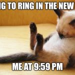Sleepy Siamese Cat | TRYING TO RING IN THE NEW YEAR; ME AT 9:59 PM | image tagged in sleepy siamese cat | made w/ Imgflip meme maker
