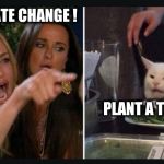 Cracker cat | CLIMATE CHANGE ! PLANT A TREE. | image tagged in cracker cat | made w/ Imgflip meme maker