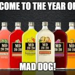 MD 2020 | WELCOME TO THE YEAR OF THE; MAD DOG! | image tagged in md 2020 | made w/ Imgflip meme maker