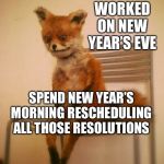 Exhausted fox | WORKED ON NEW YEAR’S EVE; SPEND NEW YEAR’S MORNING RESCHEDULING ALL THOSE RESOLUTIONS | image tagged in exhausted fox | made w/ Imgflip meme maker