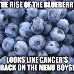 blueberries | THE RISE OF THE BLUEBERRY; LOOKS LIKE CANCER'S BACK ON THE MENU BOYS! | image tagged in blueberries | made w/ Imgflip meme maker