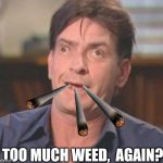 This is what my brain came up with when I should have been sleeping. | TOO MUCH WEED,  AGAIN? | image tagged in charlie sheen derp,weed,scumbag brain,random,wtf | made w/ Imgflip meme maker
